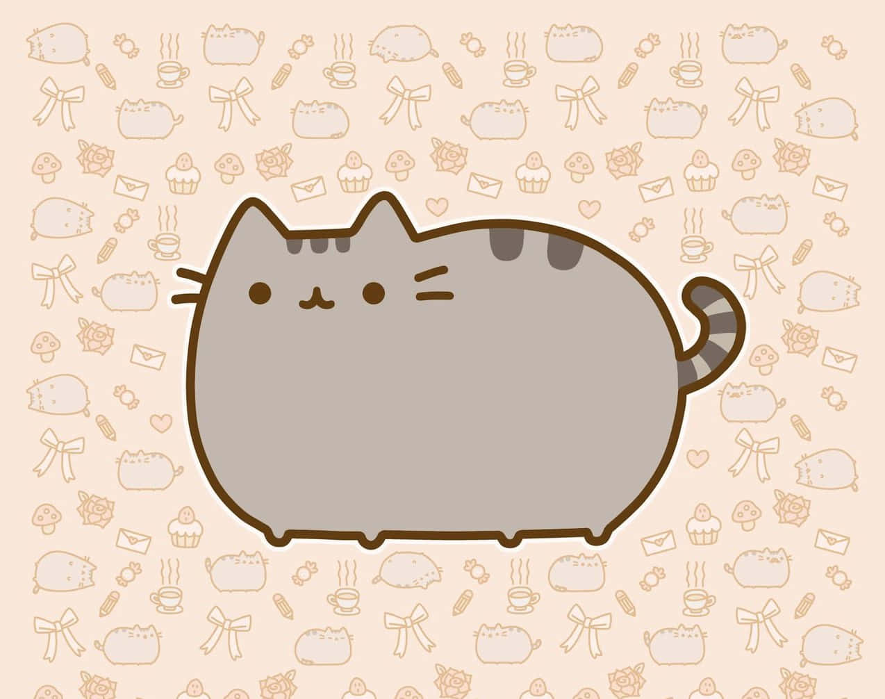 Pusheen Kawaii With Colorful Patterns Background