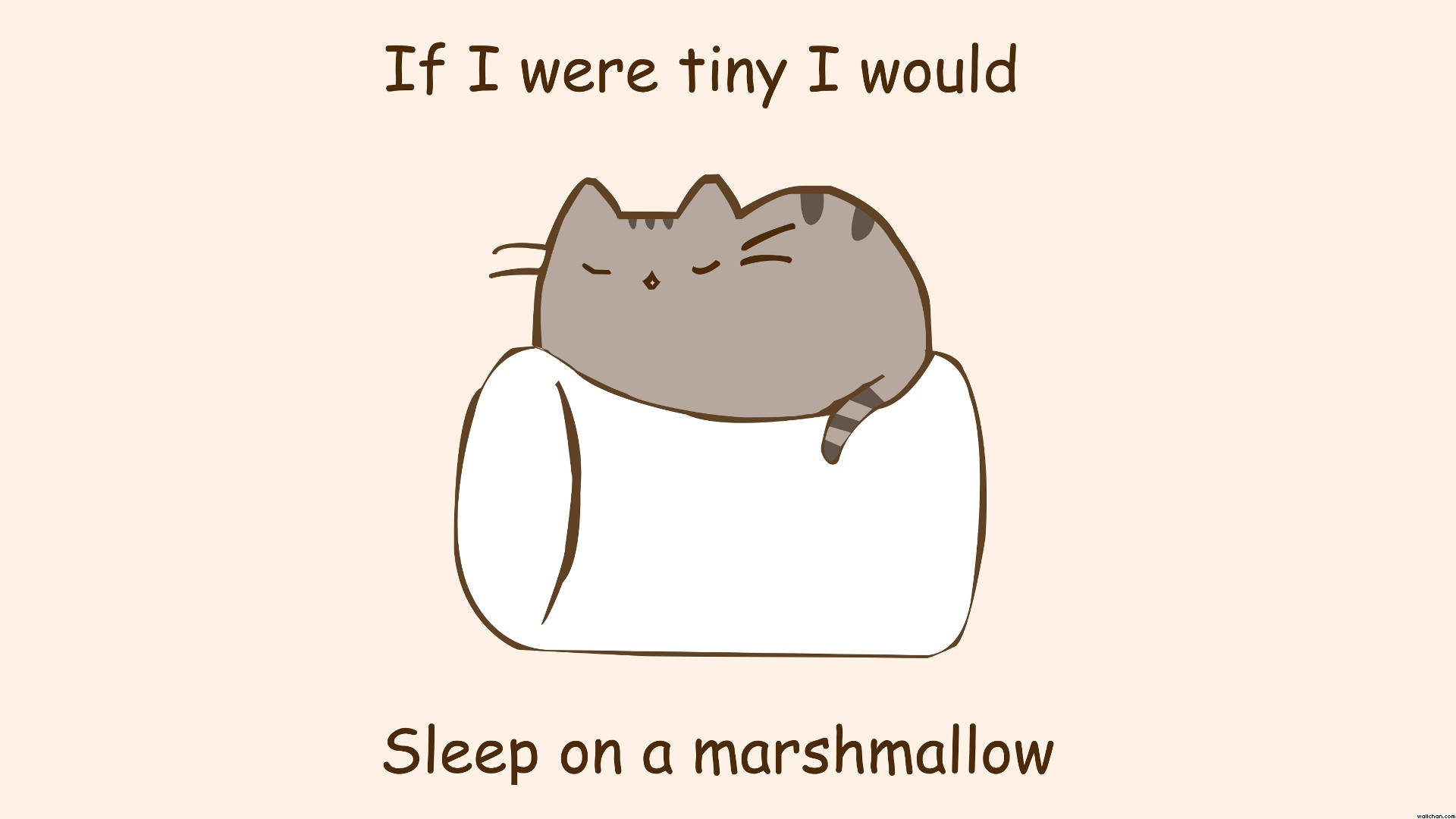 Pusheen Sleeping On Marshmallow Background