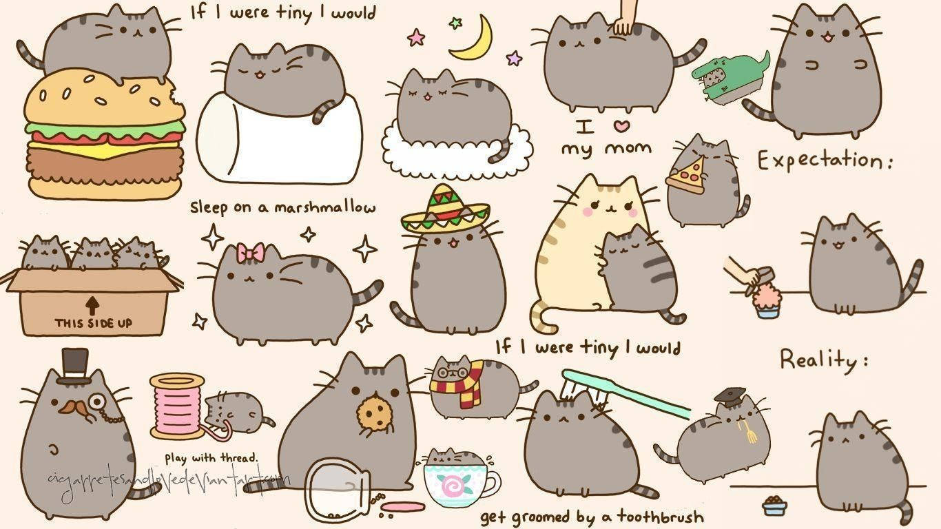 Pusheen The Cat Stickers Background