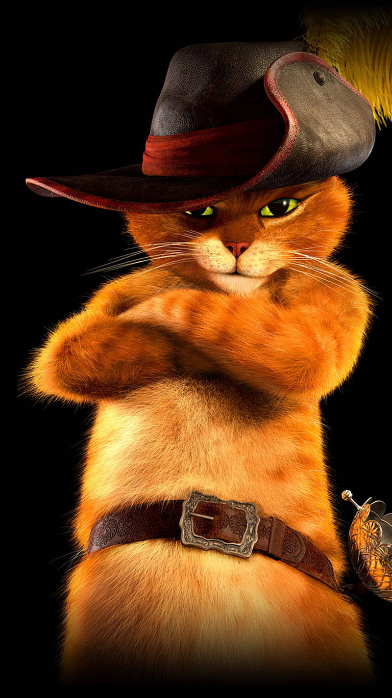 Puss In Boots Arms Crossed Background
