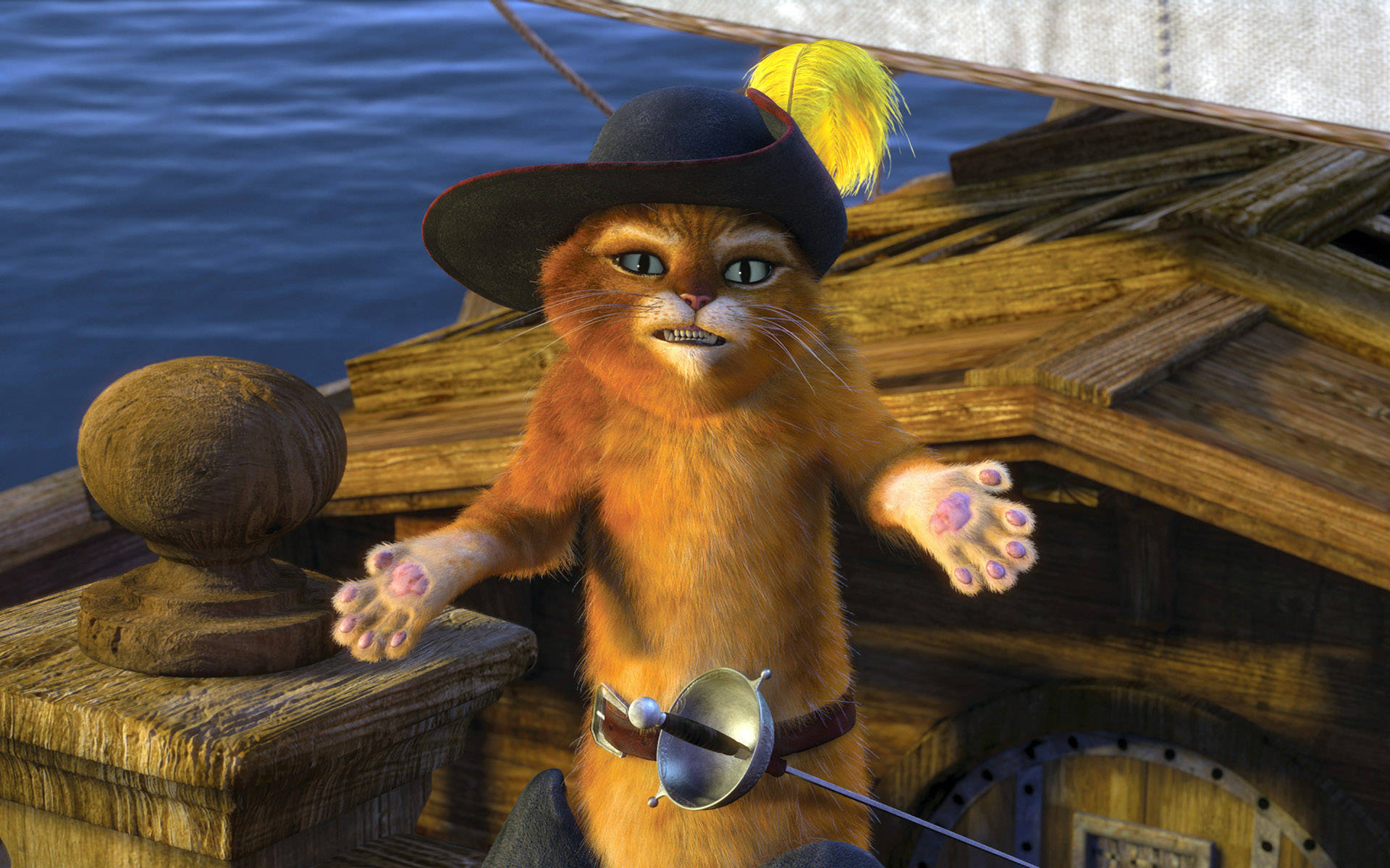 Puss In Boots From Shrek The Third