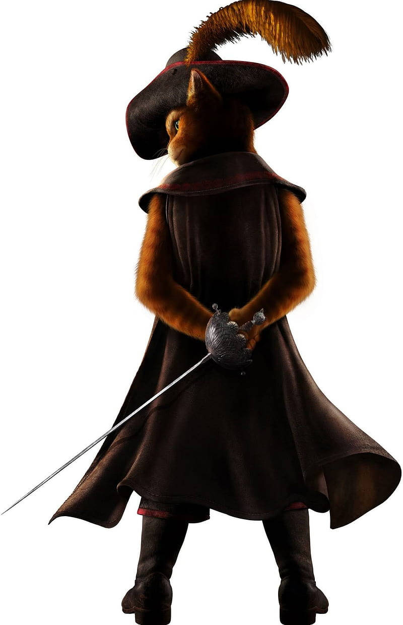 Puss In Boots Musketeer Cape Background