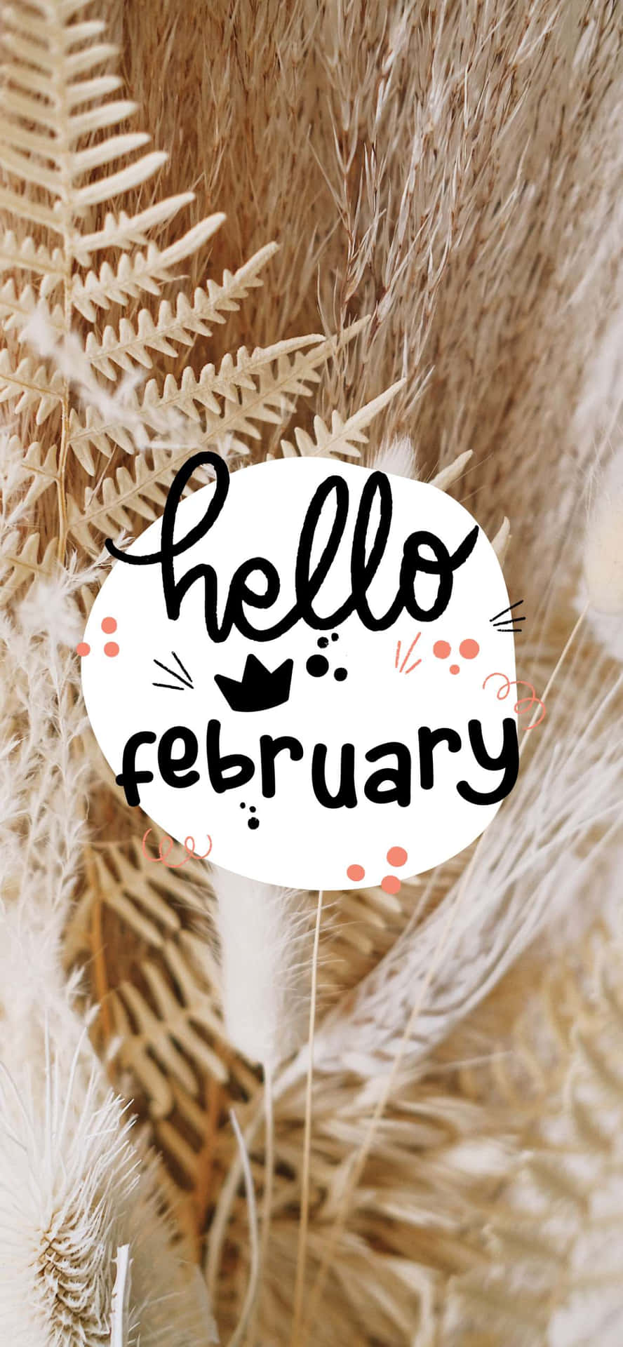 Put On Your Winter Coat And Greet Hello February! Background
