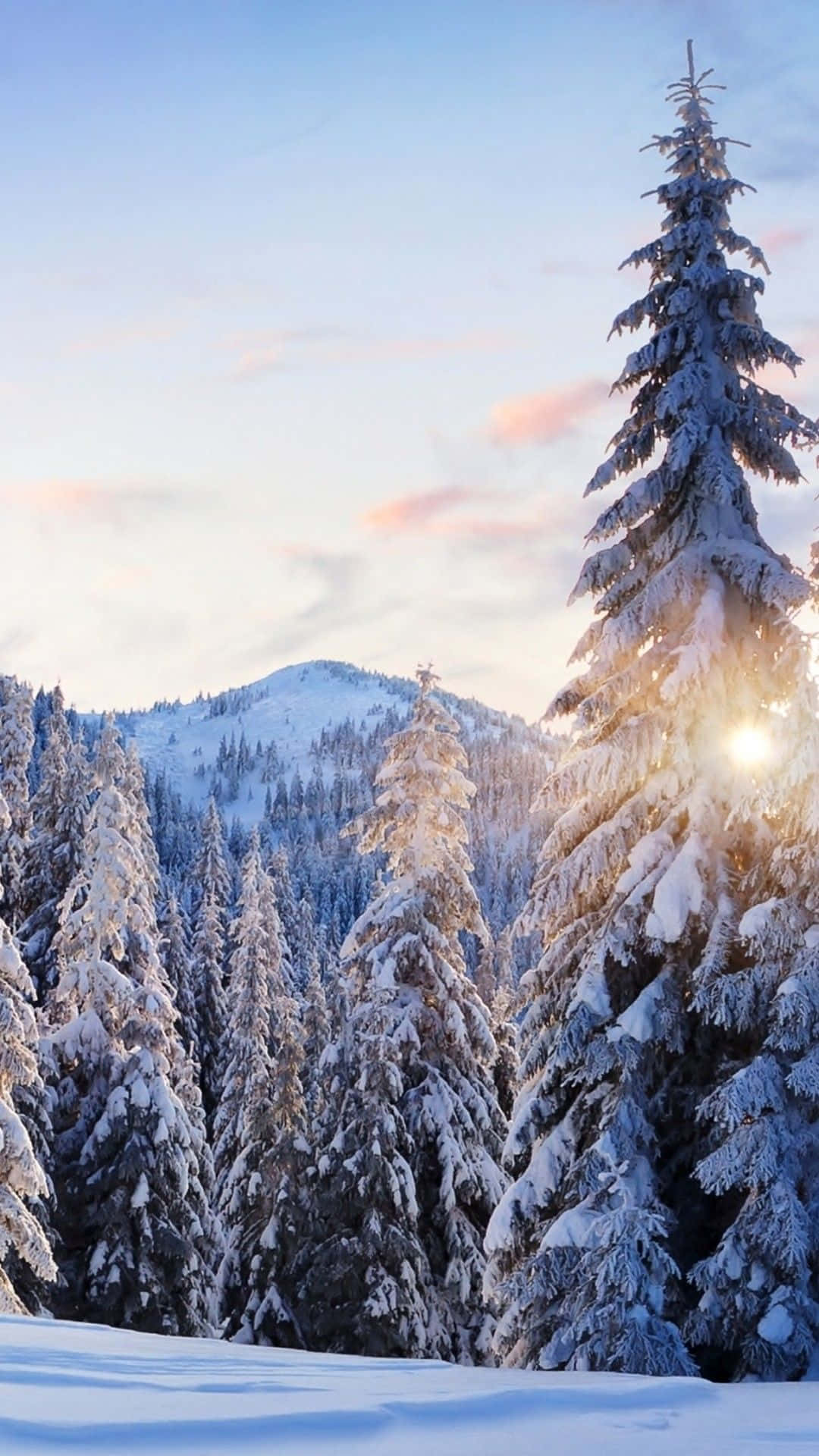 Put The Power Of Winter In Your Hands With The New Iphone 6 Plus Background