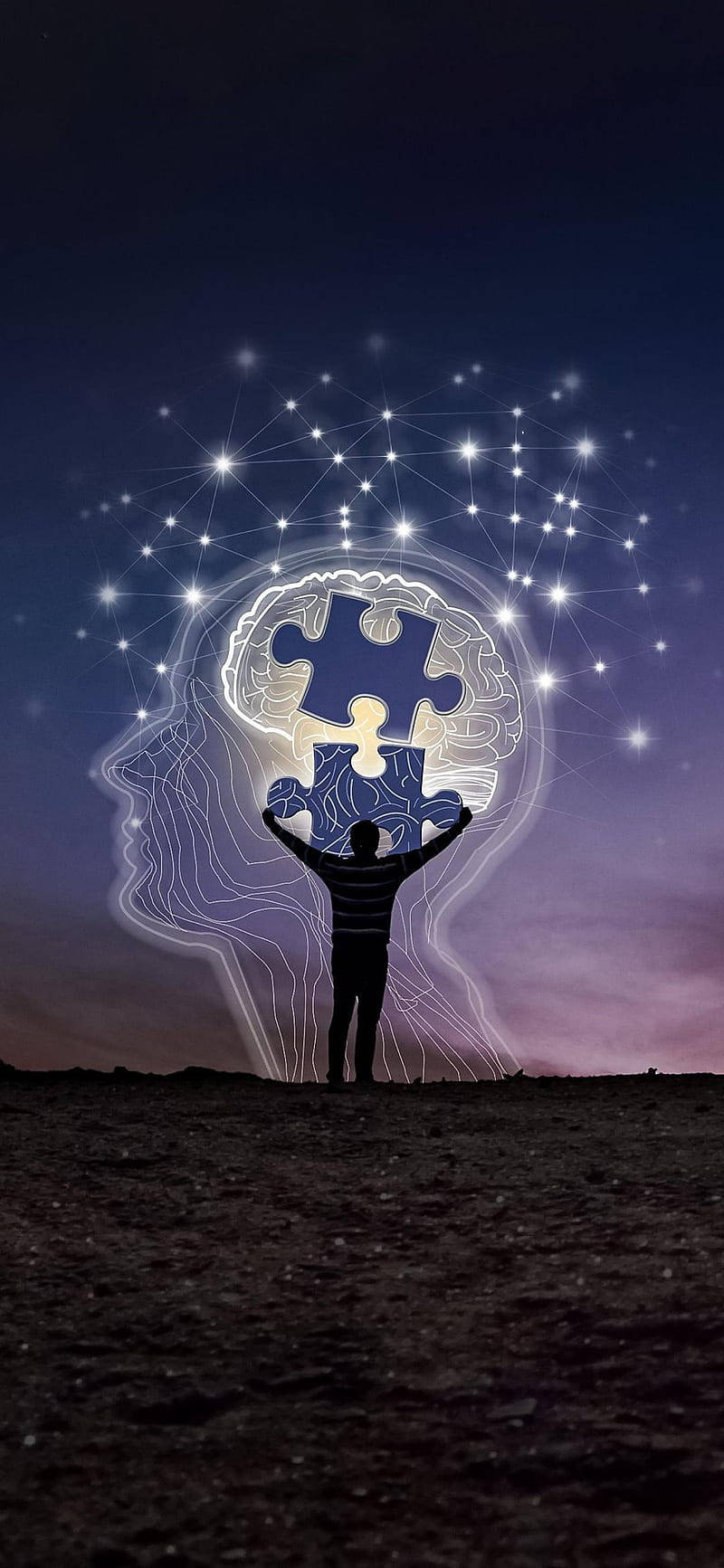 Puzzle Pieces Inside Wise Mind