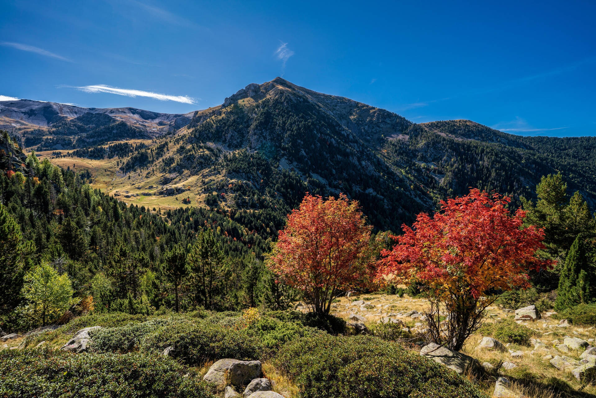 Pyrenees Autumn Andorra Background