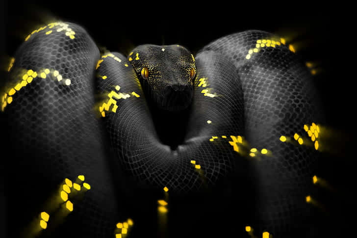 Python Code Provides Powerful Opportunities For Developers. Background