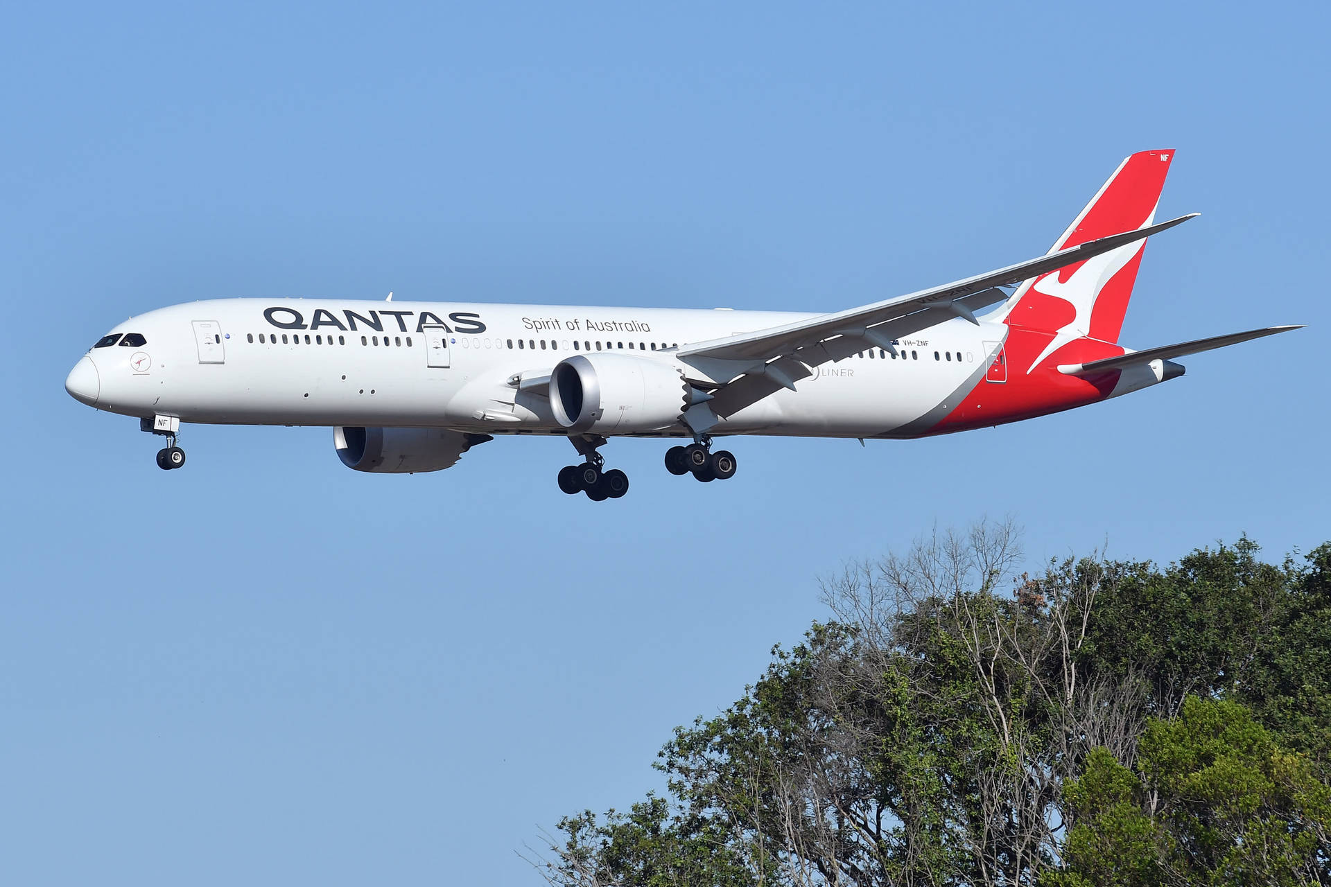 Qantas Airways Plane Landing Background