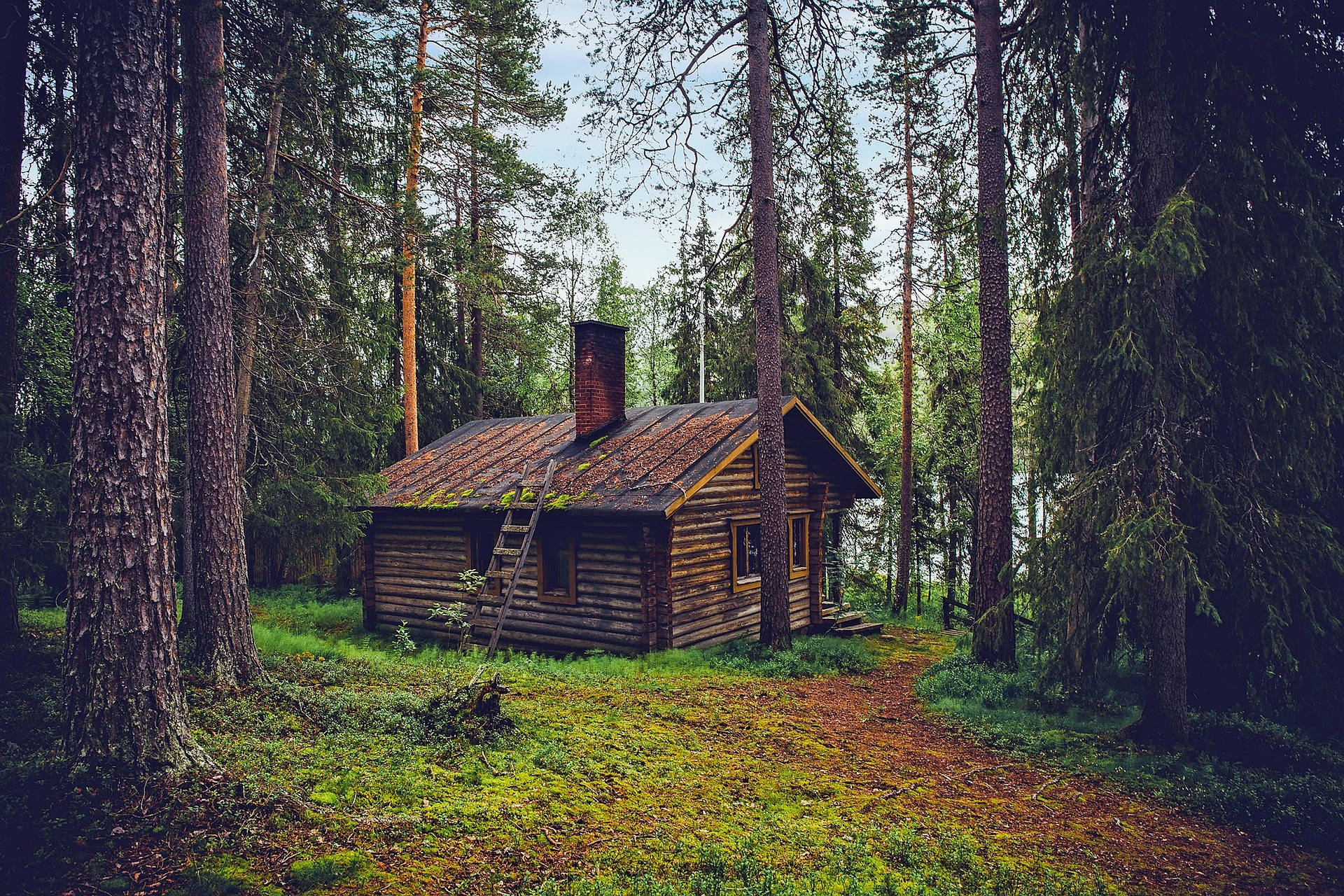 Quaint Cabin In The Woods