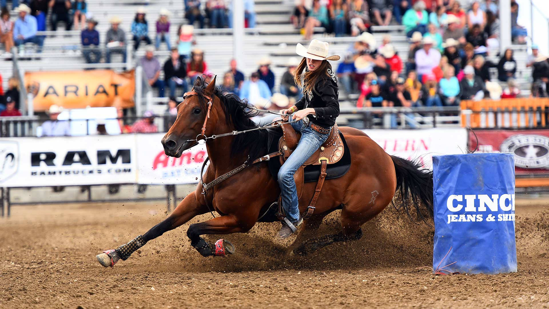 Quarter Horse In A Barrel Racing Turn Background