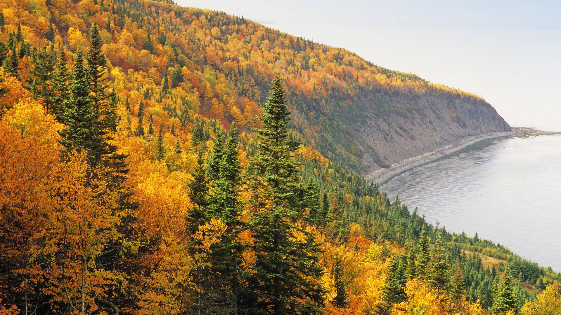 Quebec City Mountain Background