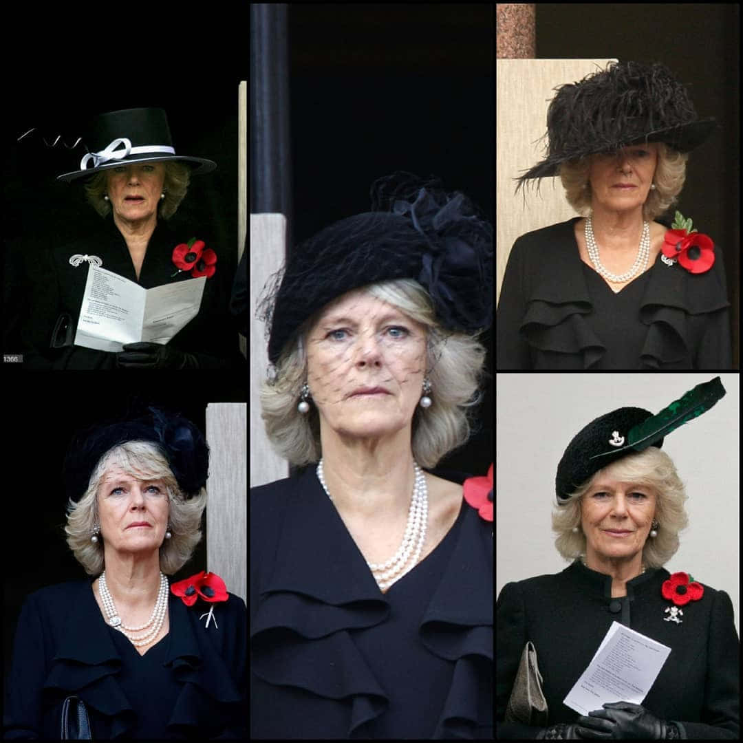 Queen Camilla Poppy In Different Outfits