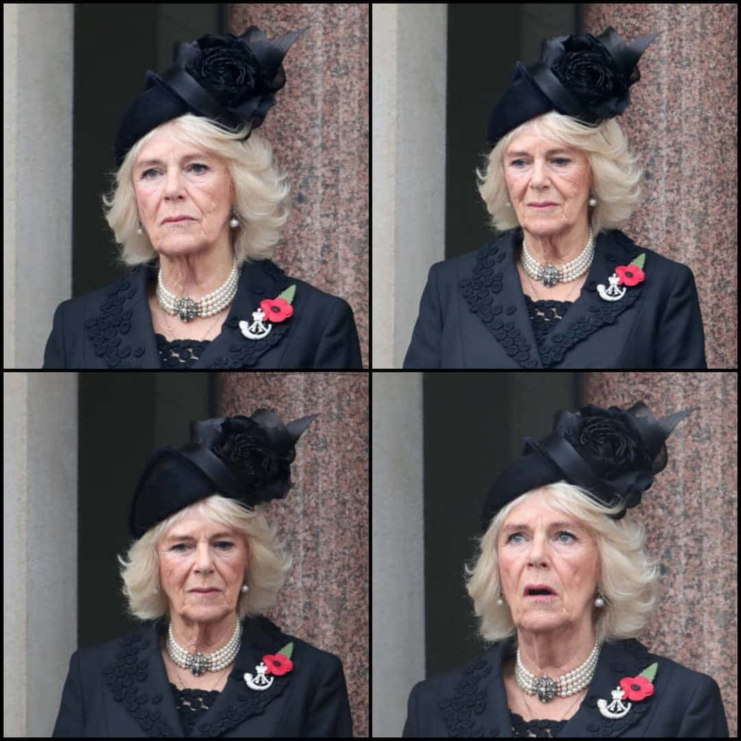 Queen Camilla Wearing Poppy
