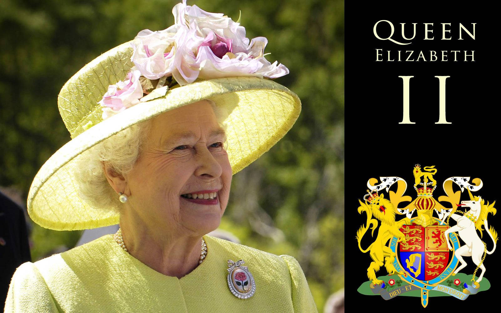 Queen Elizabeth Ii With Emblem Background
