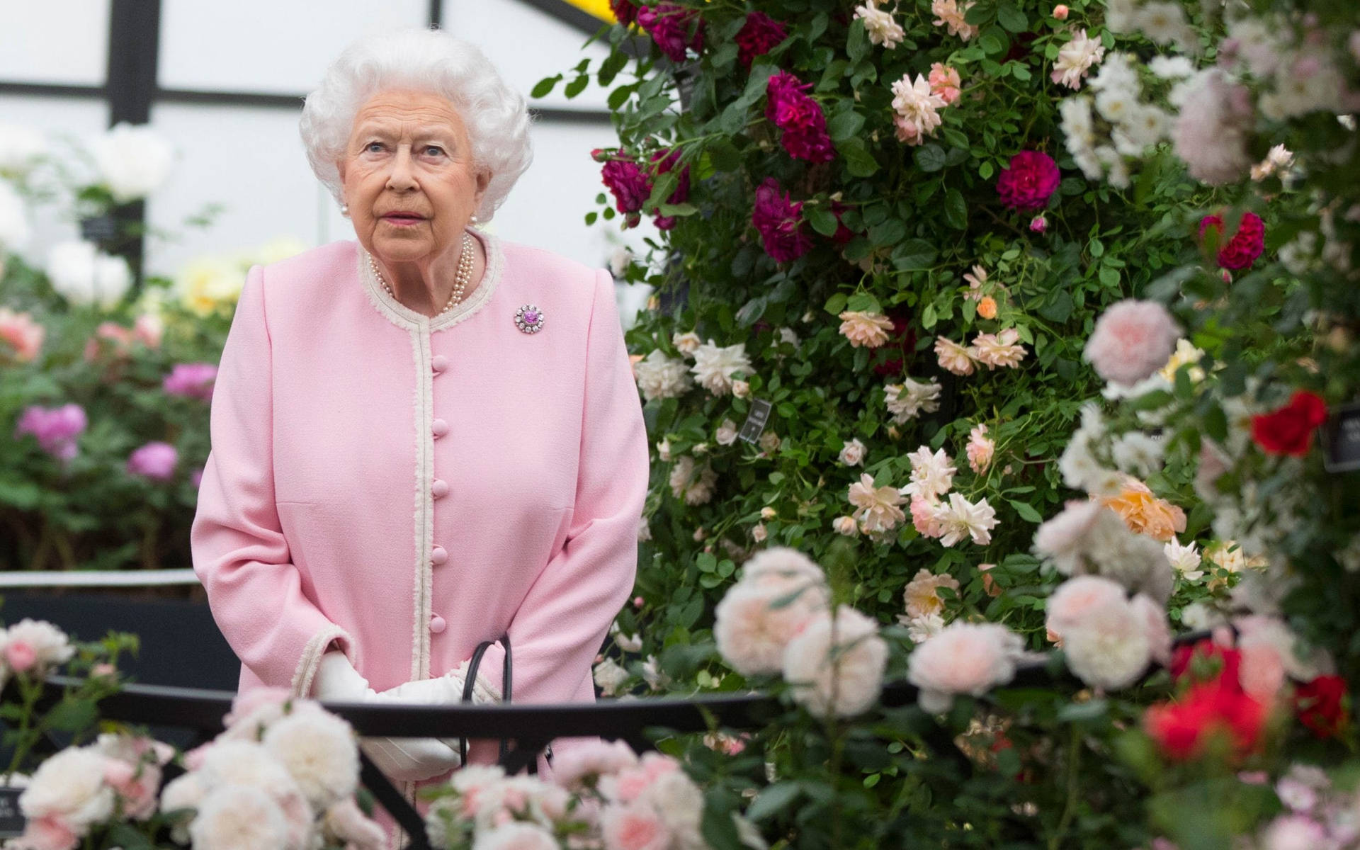 Queen Elizabeth In A Garden Background