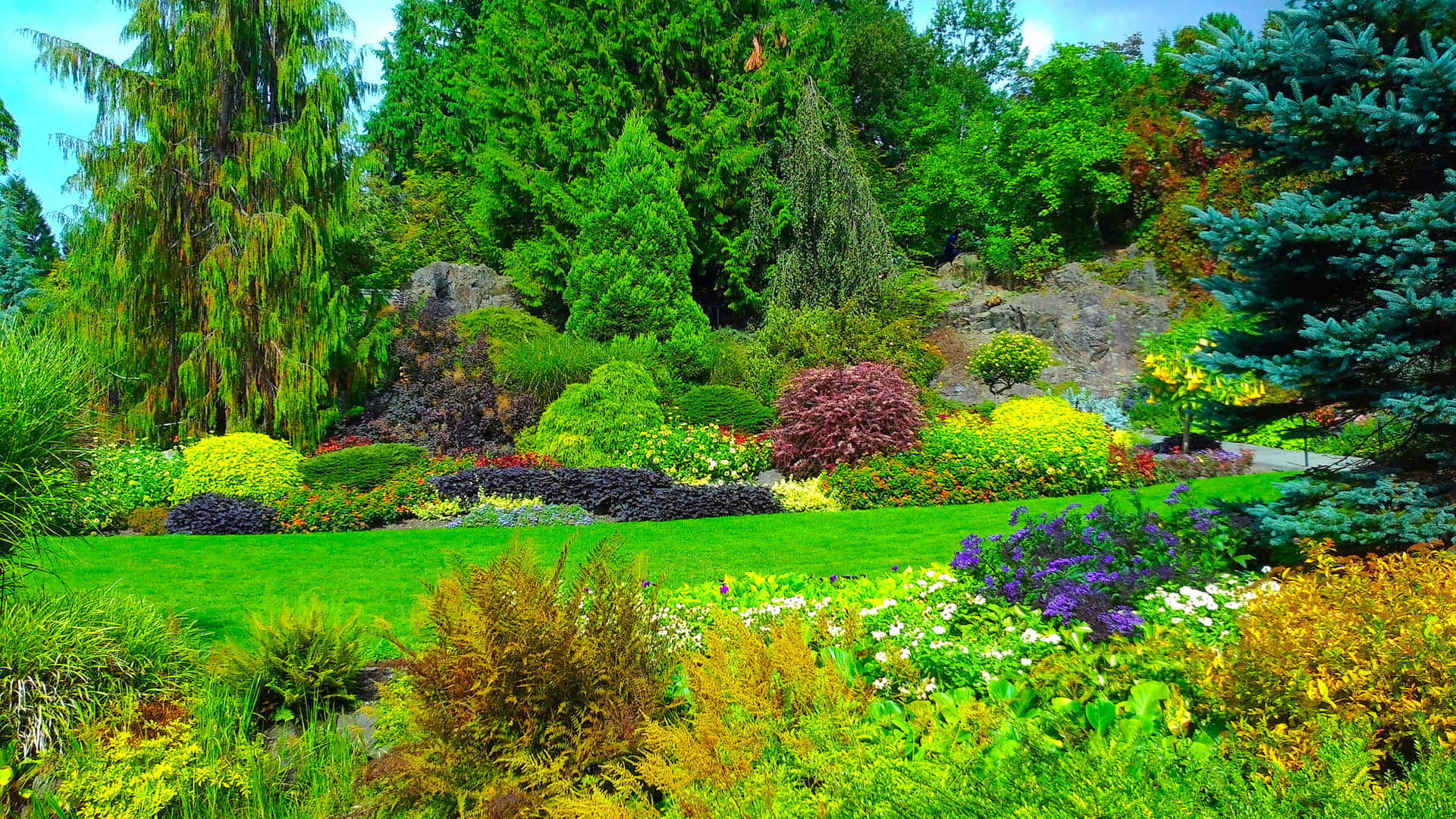 Queen Elizabeth Park Garden Shrubs Background