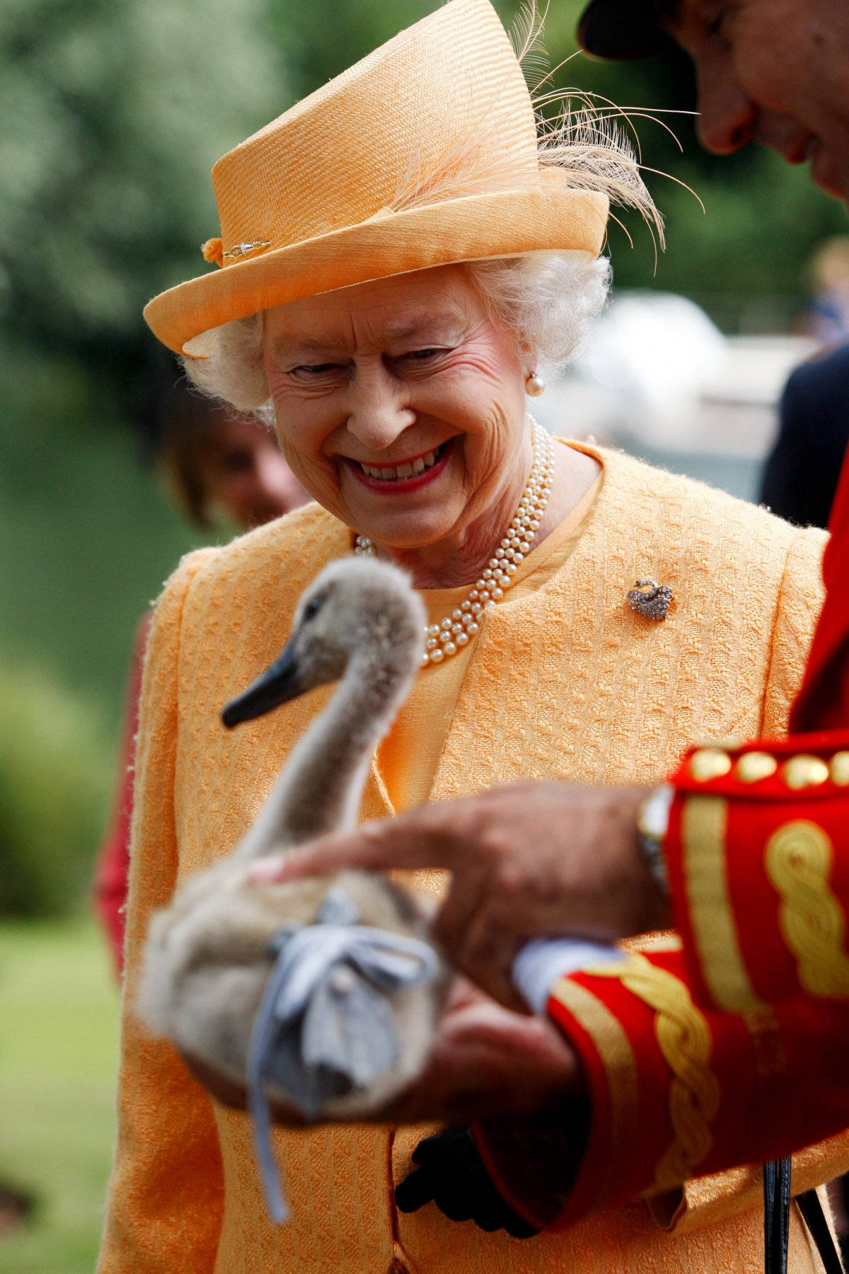 Queen Elizabeth With A Duck Background