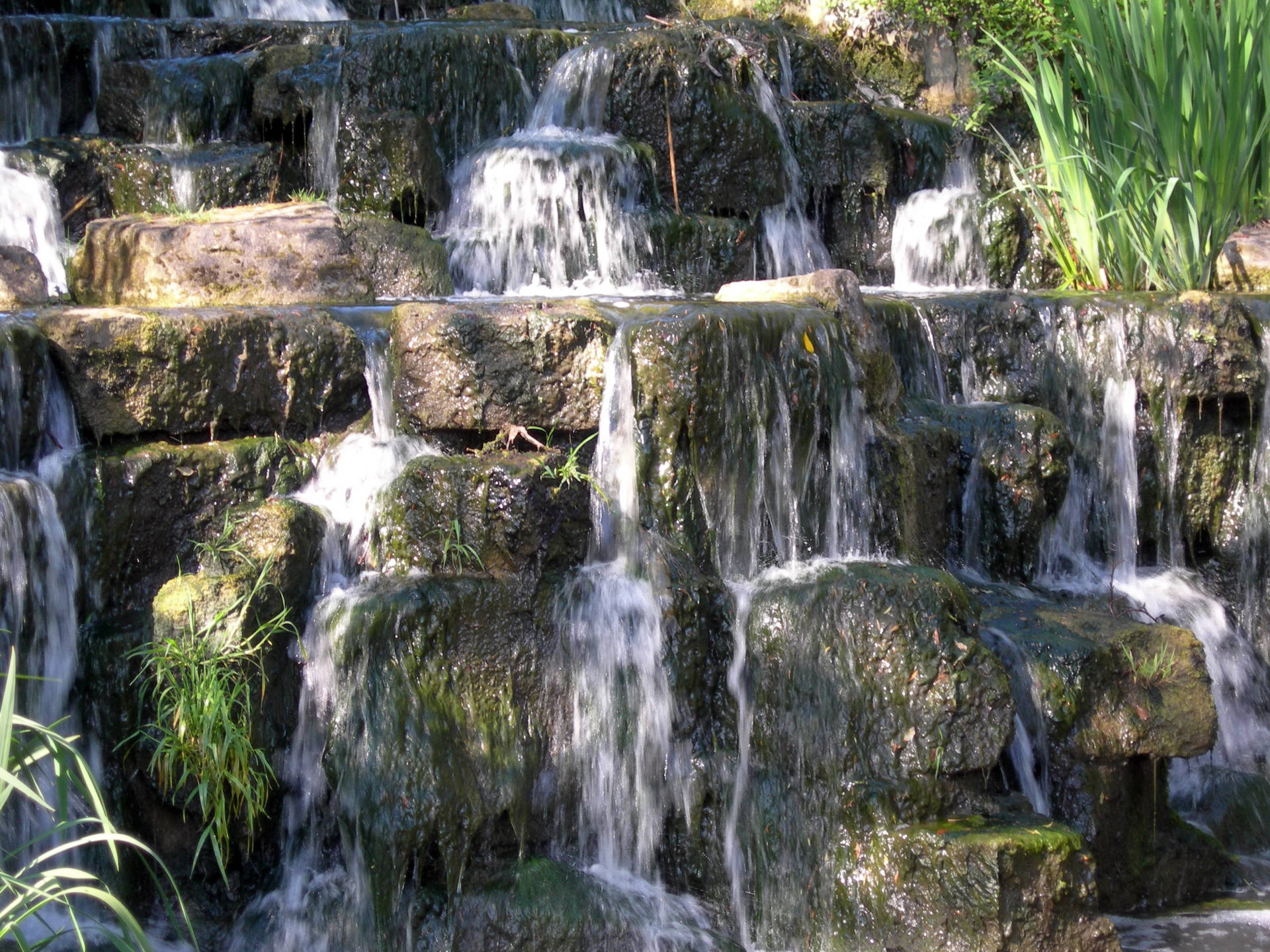 Queen Marys Garden Waterfall Background