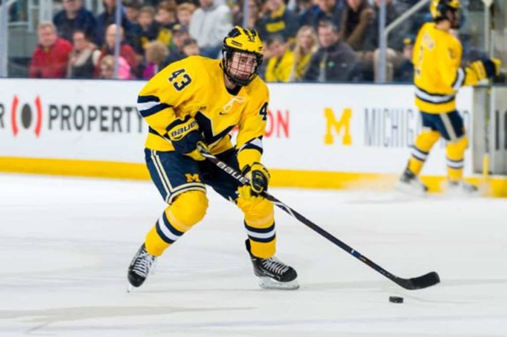 Quinn Hughes Leaning Forward While Dribbling Hockey Puck Background