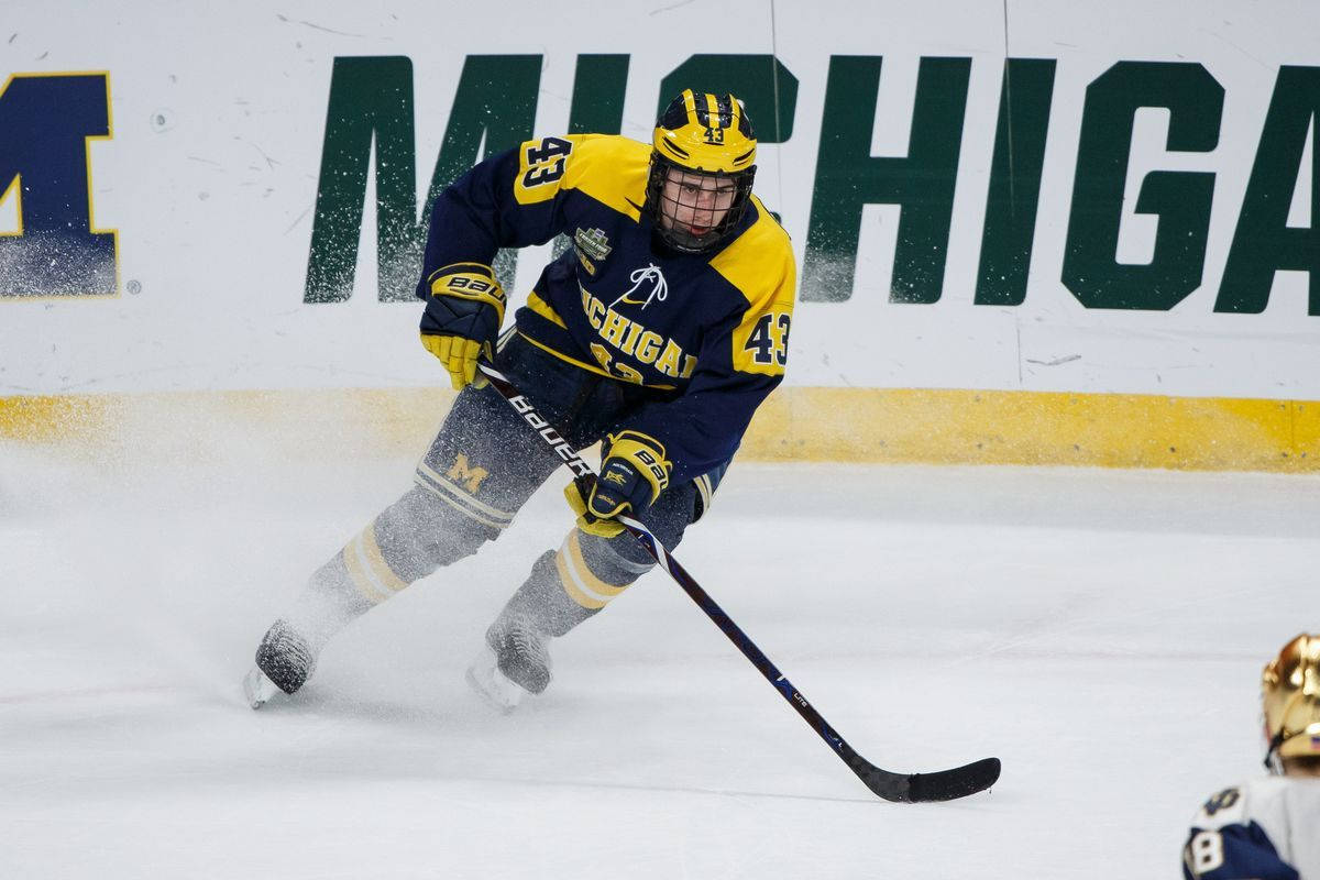 Quinn Hughes Leaning To The Left Pushing Hockey Stick Background