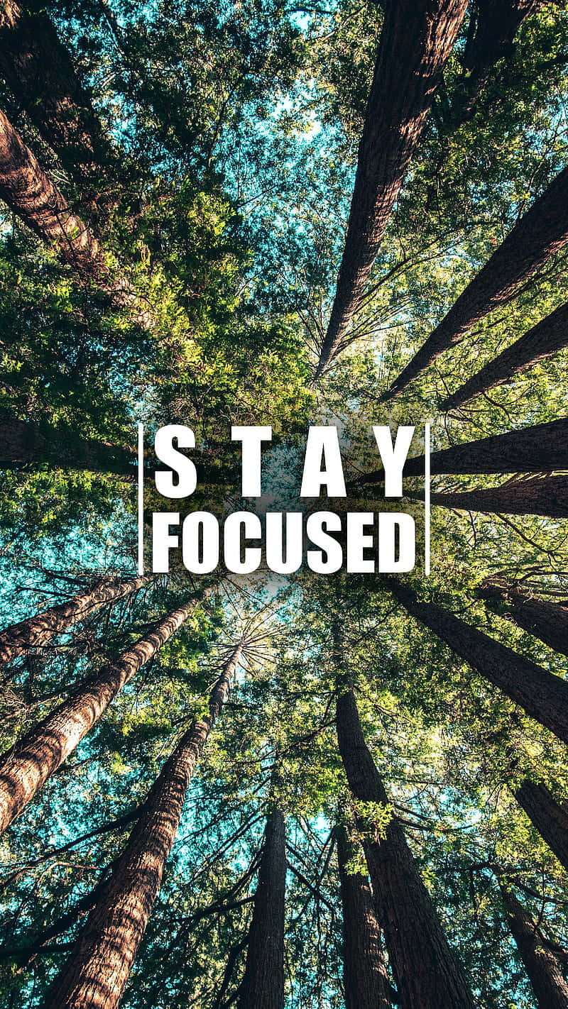 Quote About Focused Background