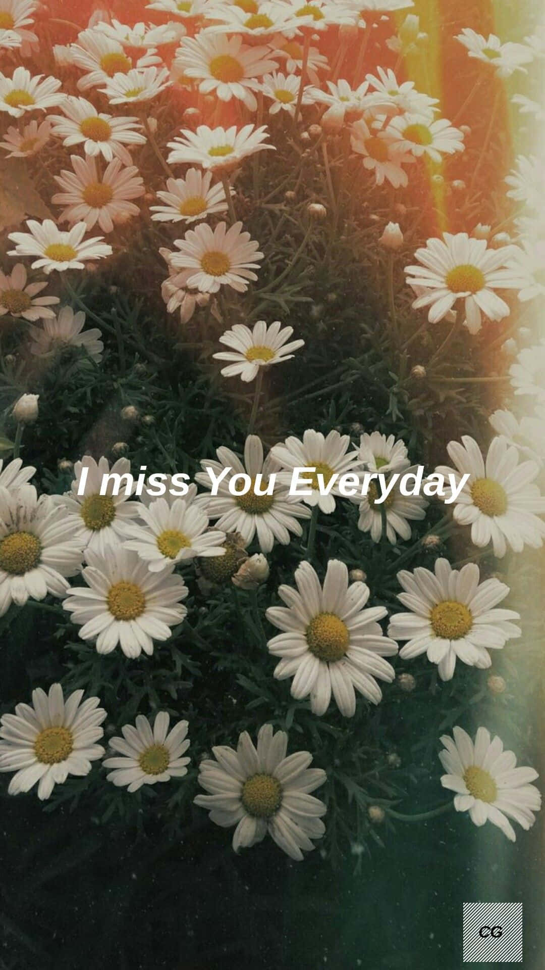 Quote Graphics Aesthetic Daisy Background