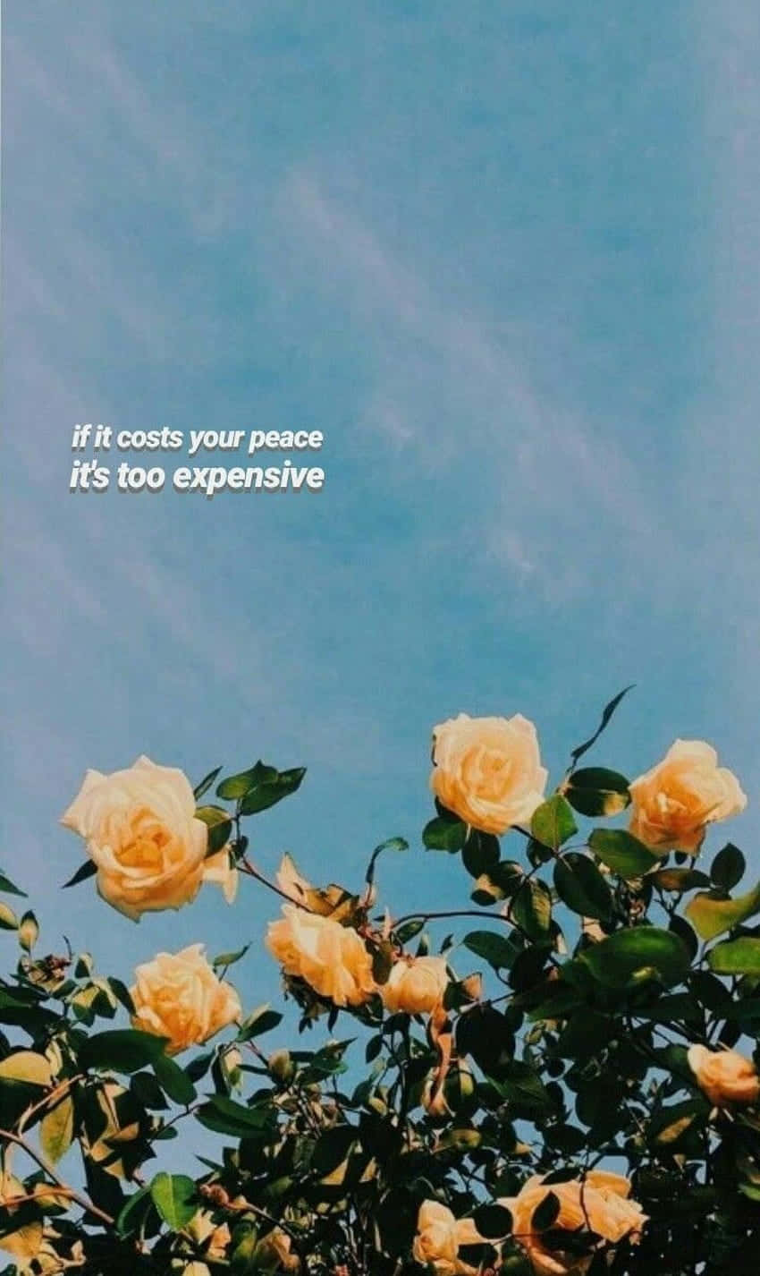 Quotes Tumblr Yellow Rose Background