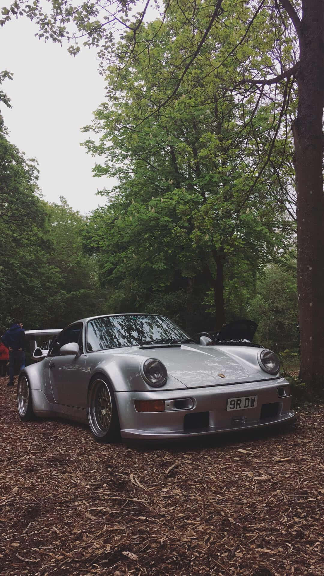 R W B Porschein Forest Setting Background