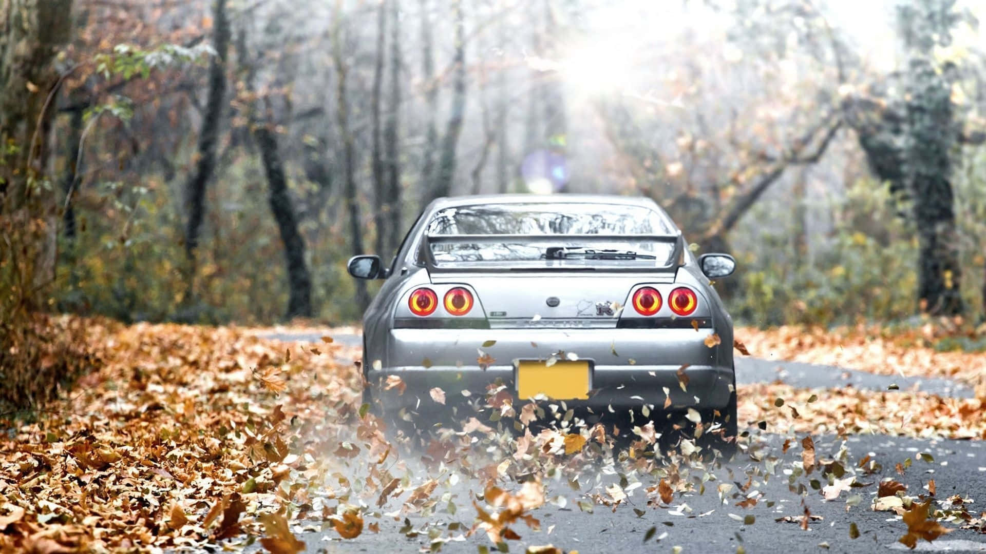 R33 Gtr Silver Fall Leaves Background