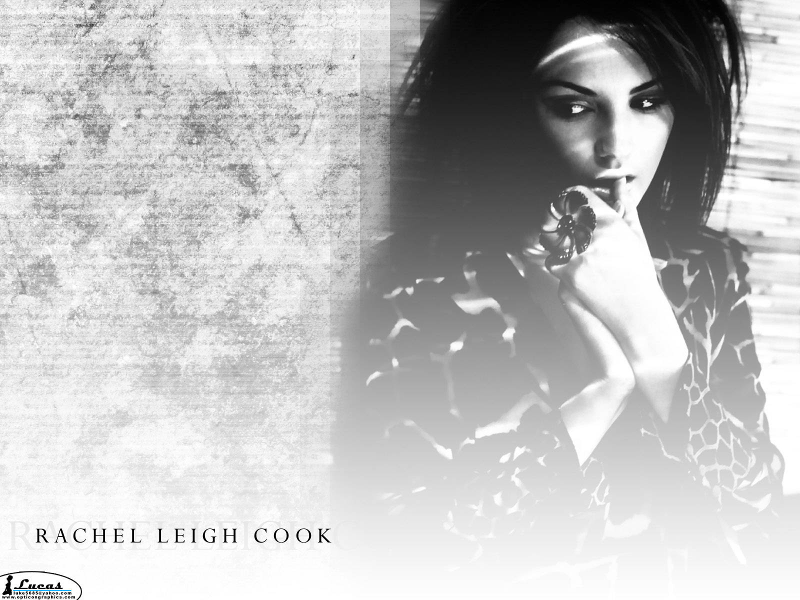 Rachael Leigh Cook Grey Scale Background