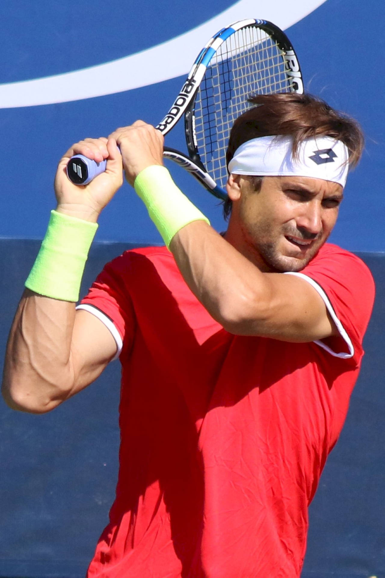 Racket Over Shoulder David Ferrer Background