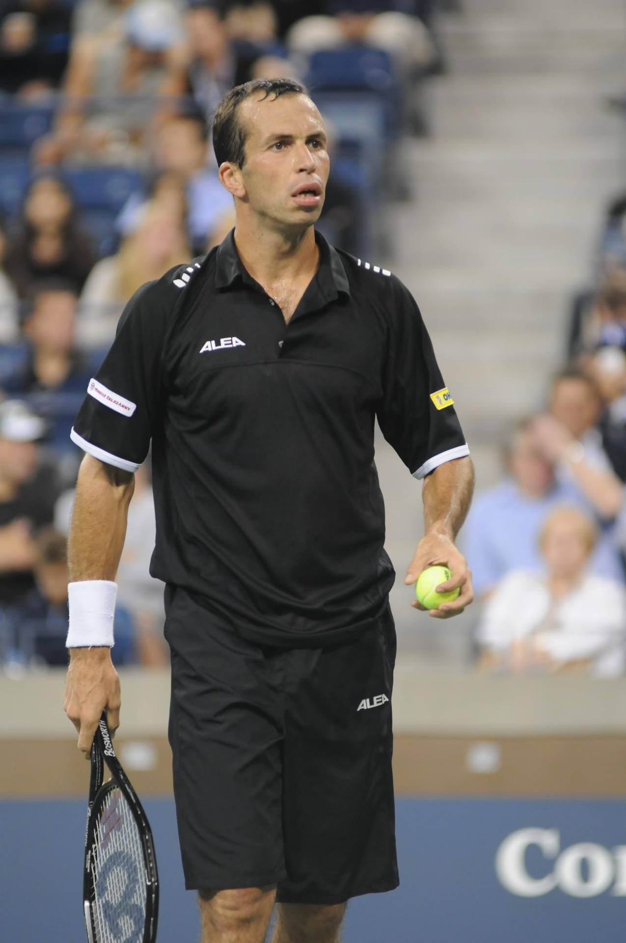 Radek Stepanek In Black Tennis Outfit