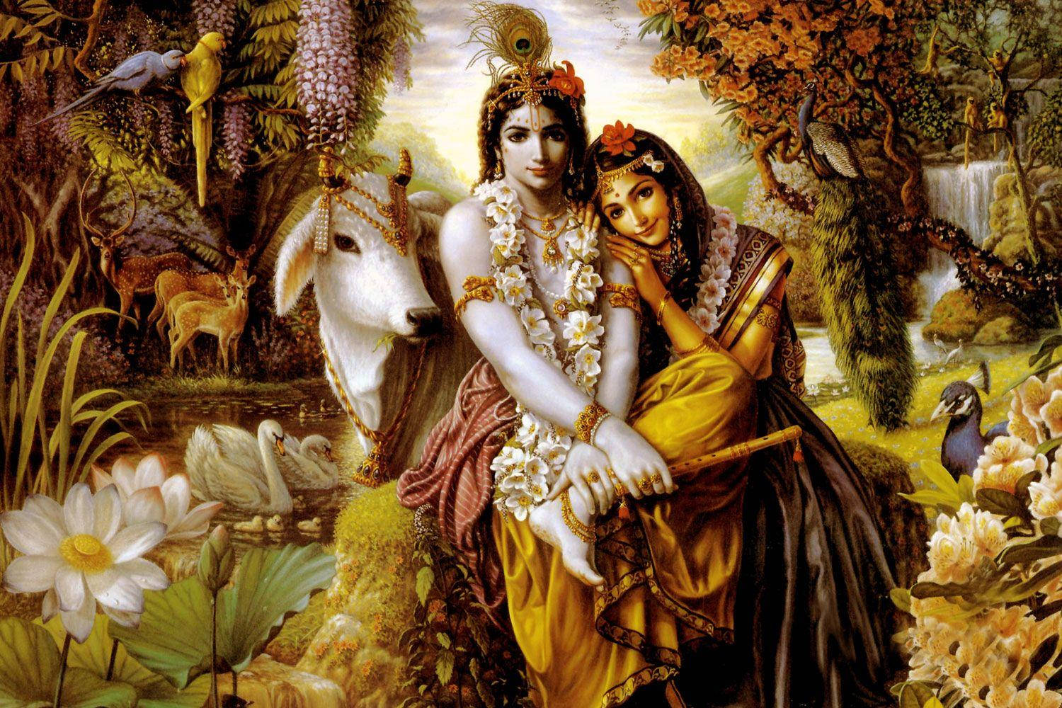 Radhika And Krishna Desktop Background