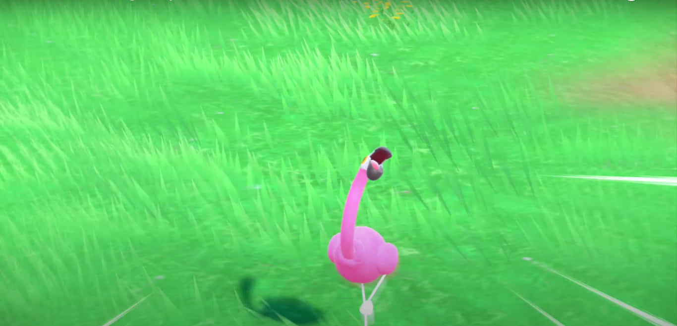 Radiant Flamigo Pokemon Emits Battle Cry Background