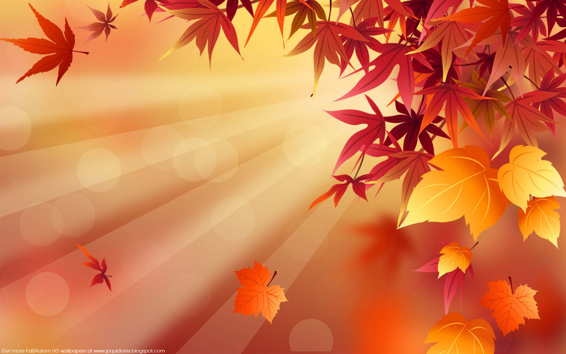 Radiant Maple Fall Desktop Background