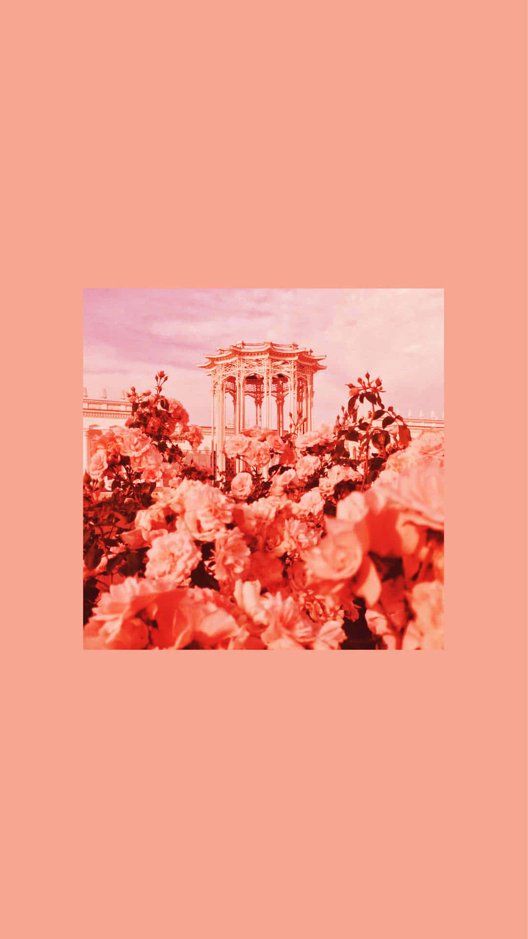 Radiant Pastel Red Background