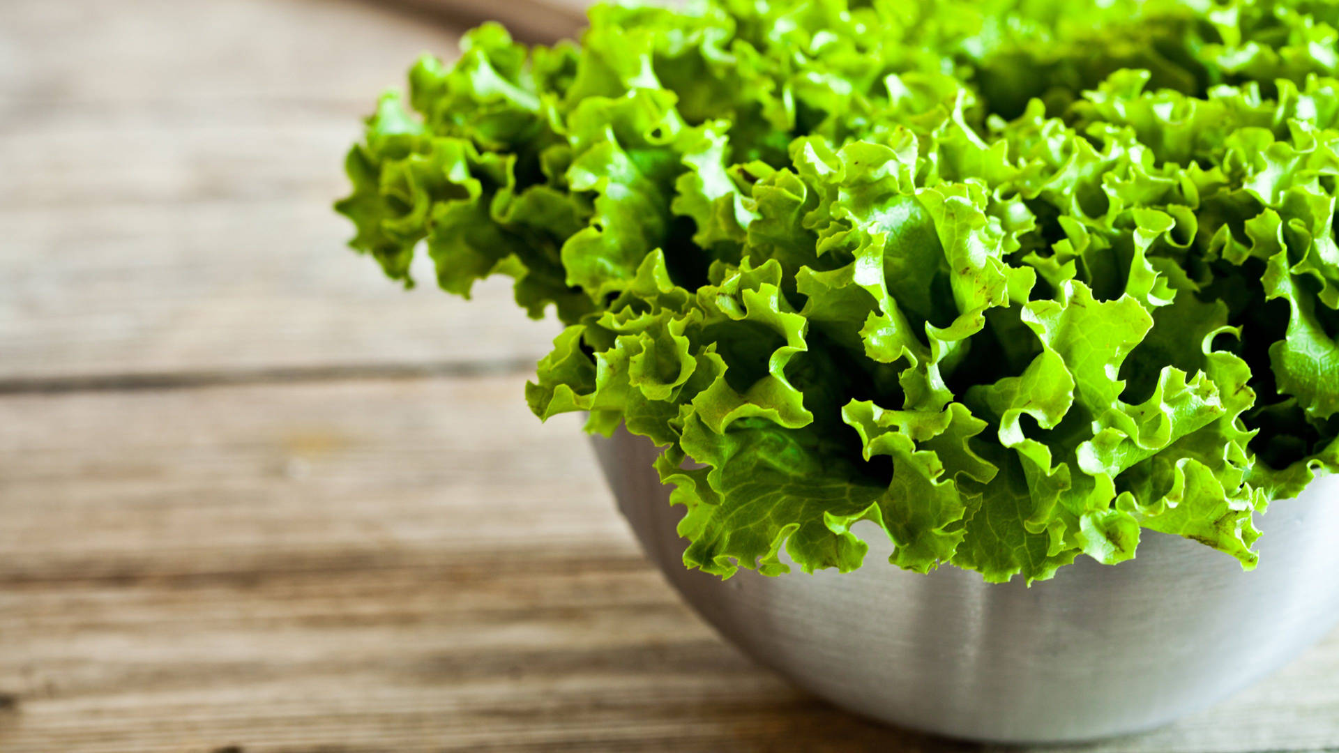 Radiant Silver Bowl Lettuce Background