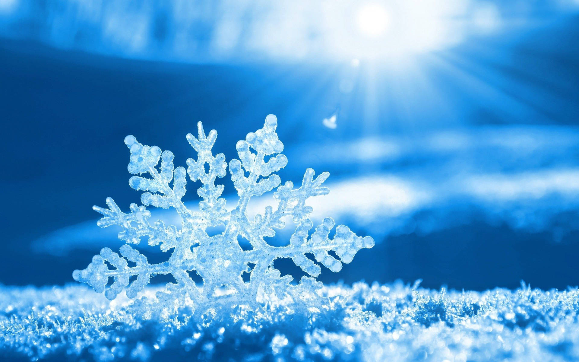 Radiant Snowflake Background