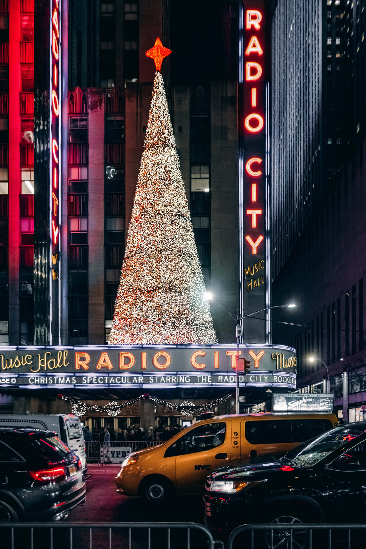 Radio City Fm Simple Aesthetic Cute Christmas Light Tree