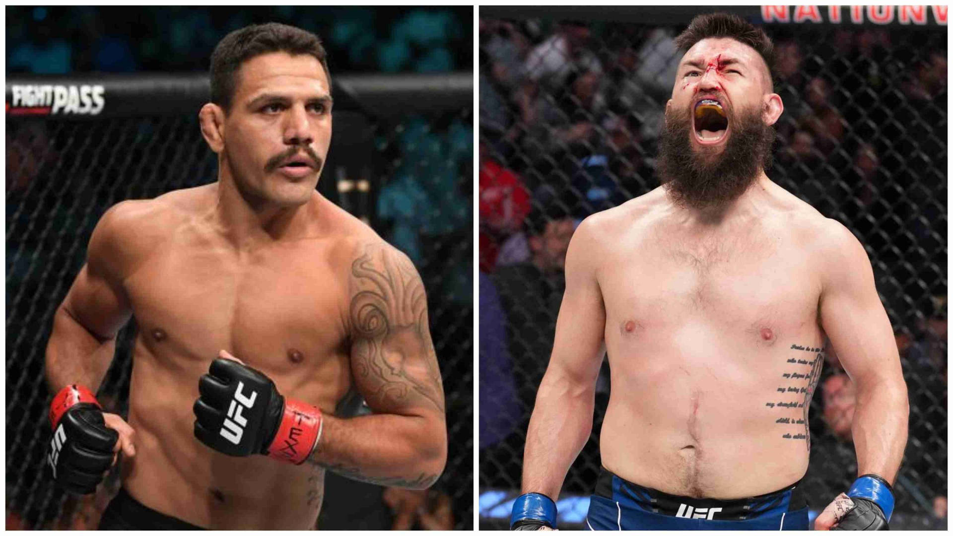 Rafael Dos Anjos And Bryan Barberena Background