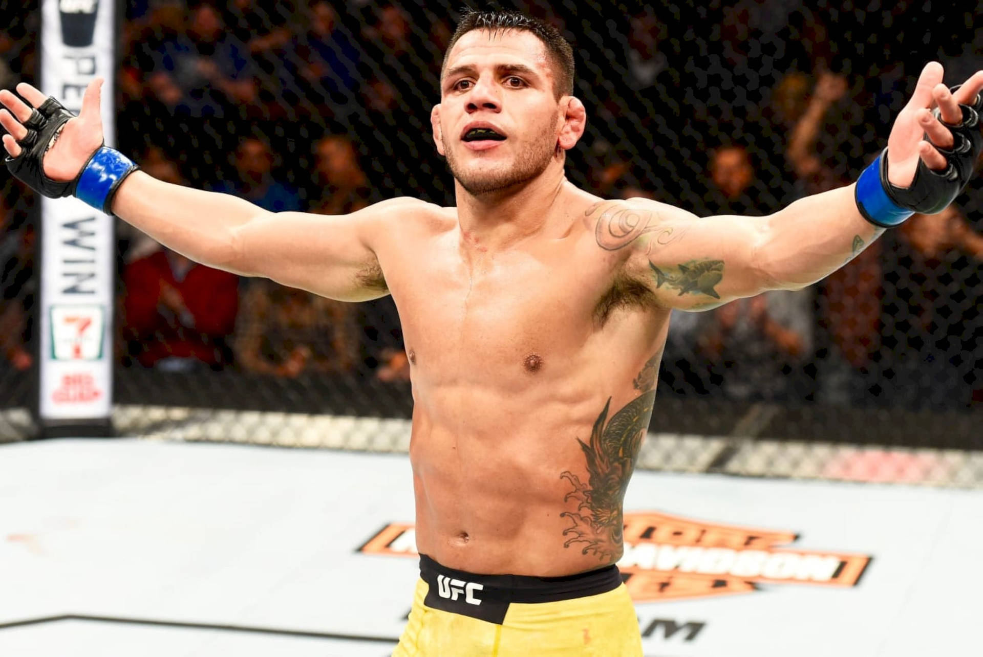 Rafael Dos Anjos Extending Arms Out Background