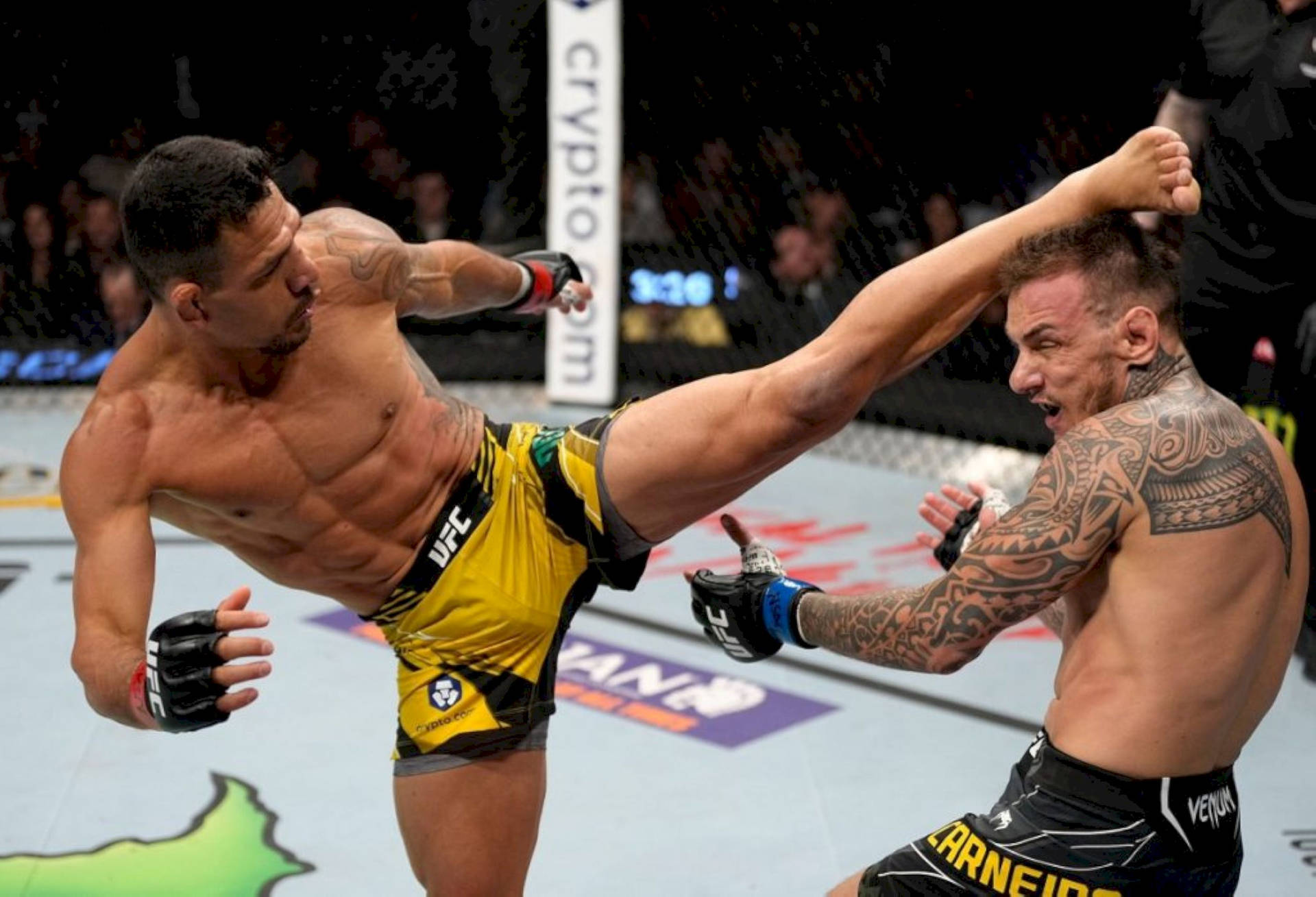 Rafael Dos Anjos High Kick Background