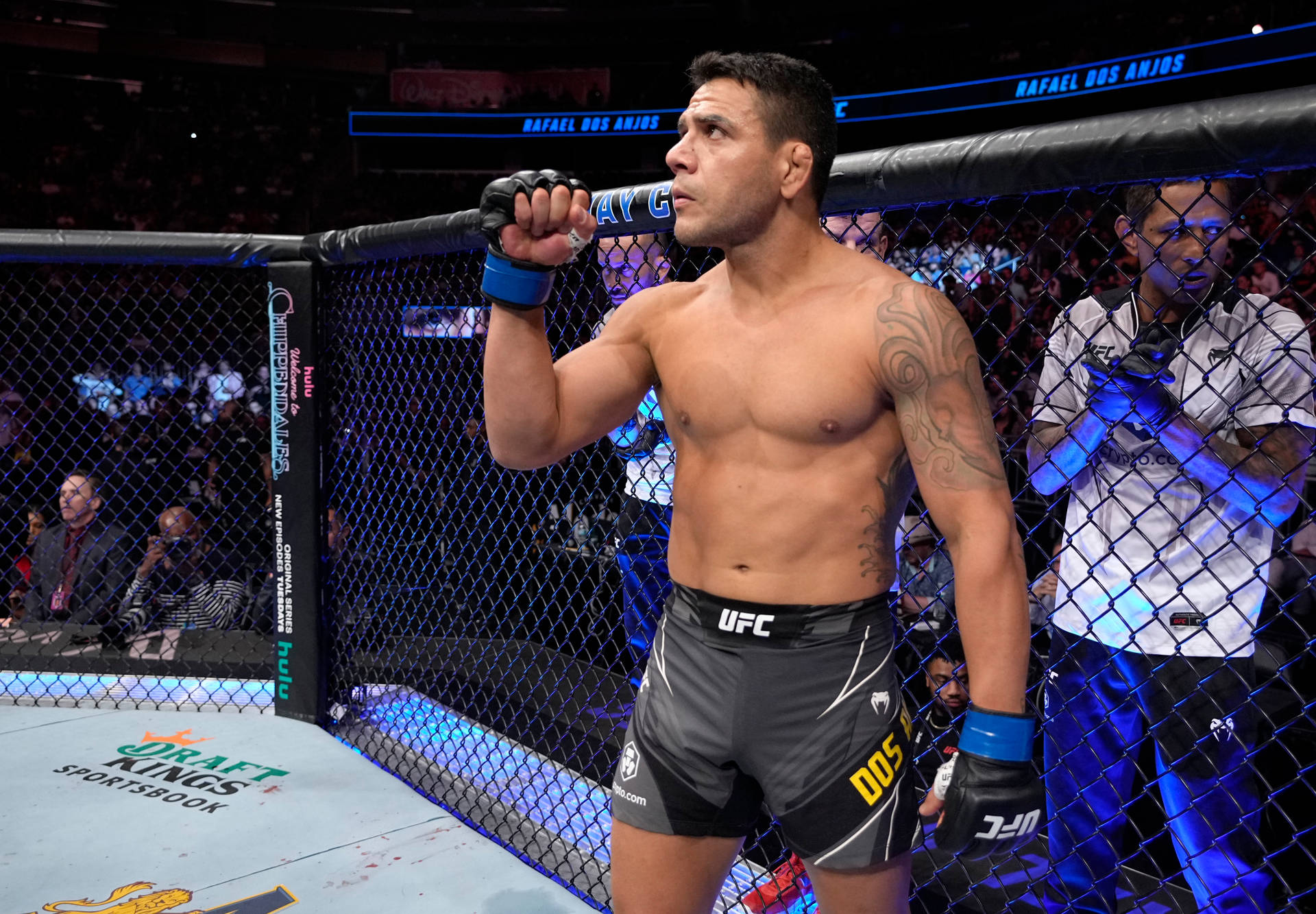 Rafael Dos Anjos In Training Mode Background