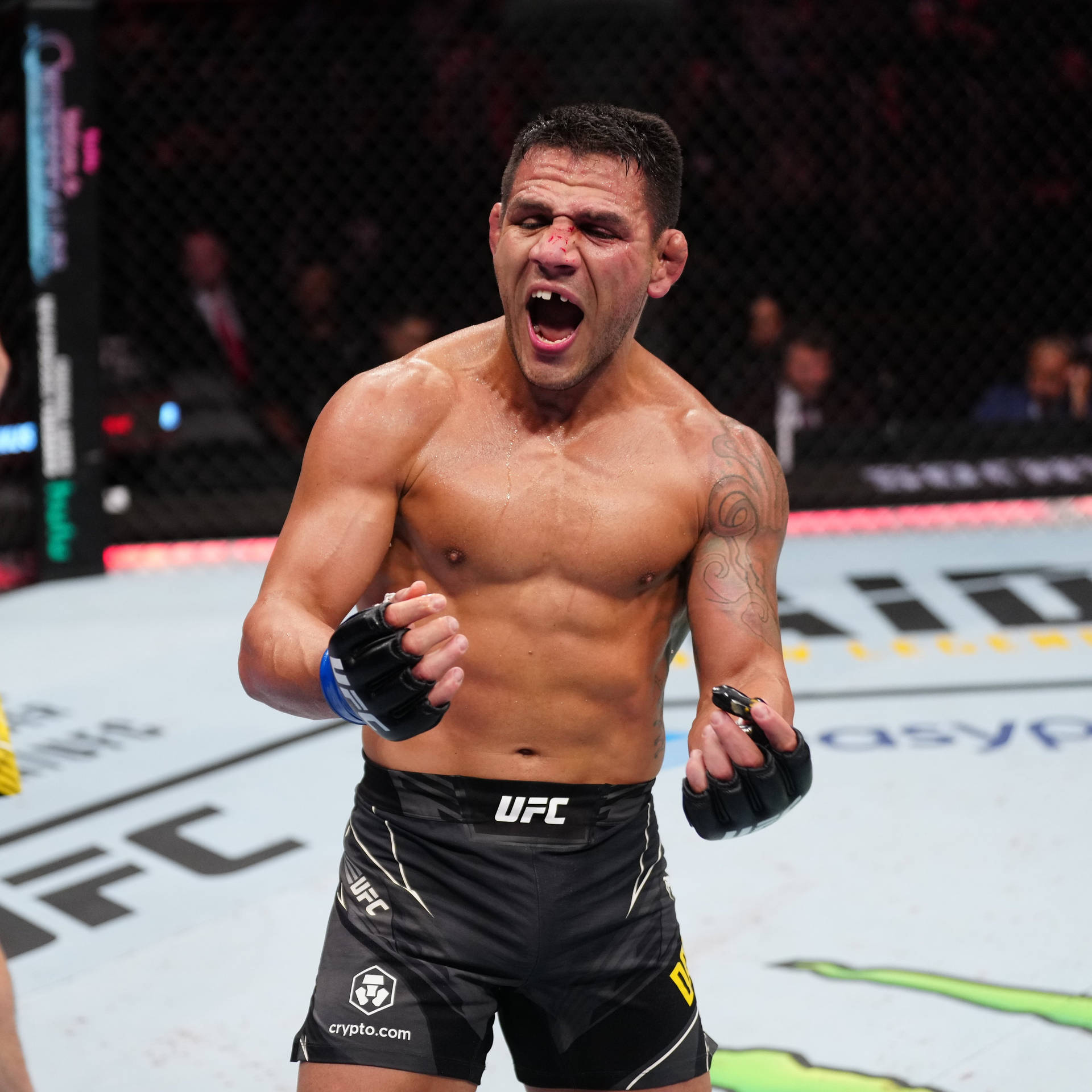 Rafael Dos Anjos Shouting With Joy Background