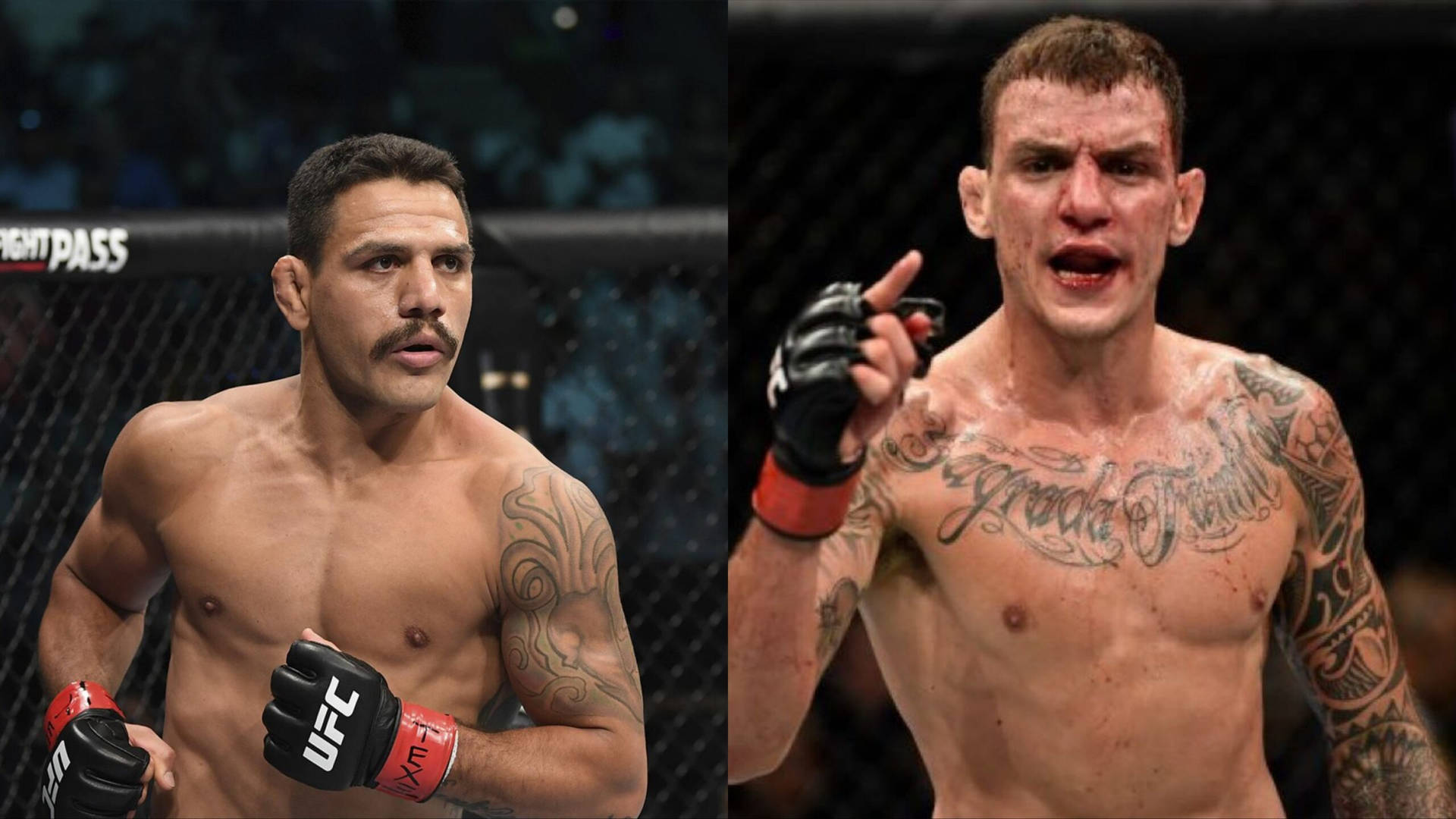 Rafael Dos Anjos Vs Renato Moicano Background