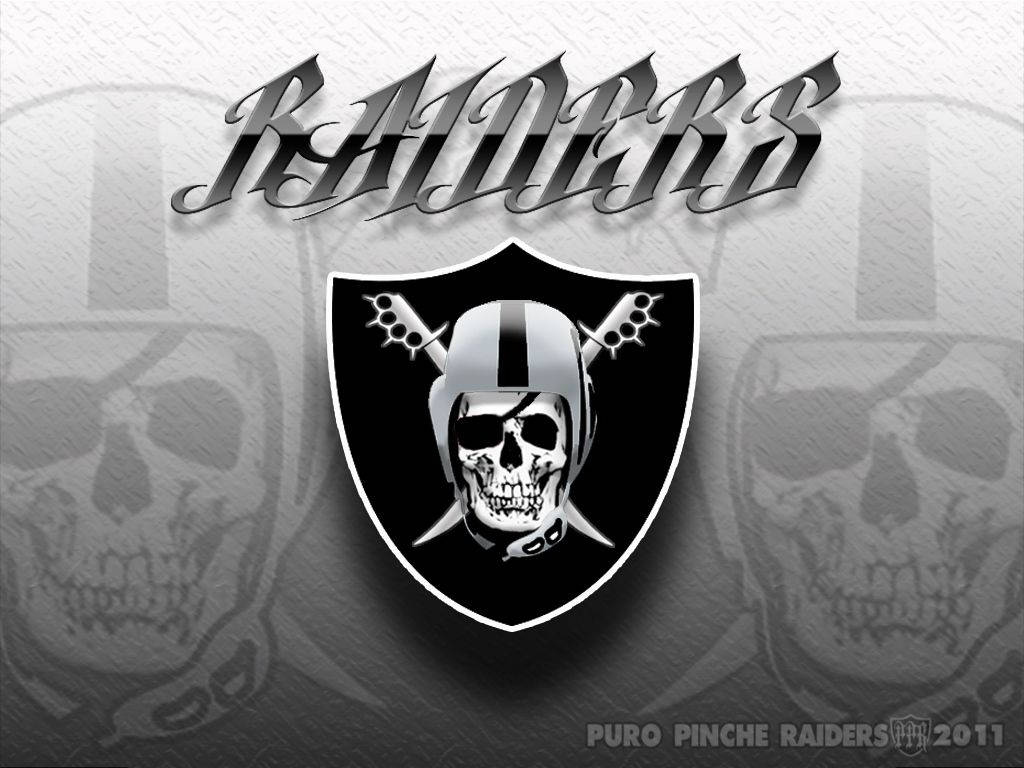Raiders Skull Logo Background