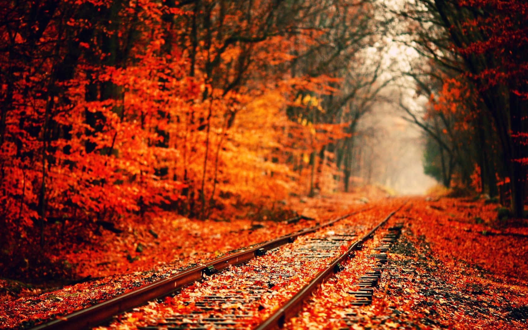 Railroad With Red Leaves Fall Autumn Desktop Background