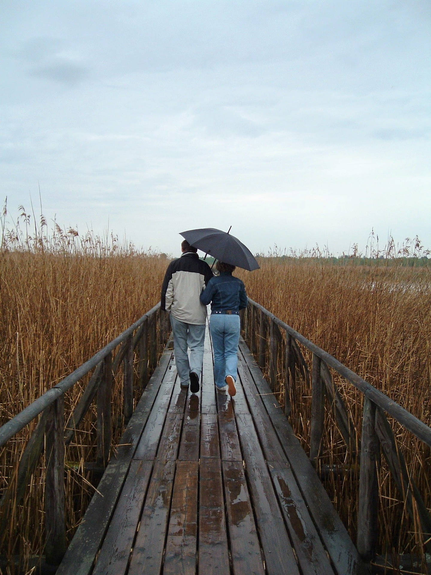 Rain Couple On Wooden Bridge Background