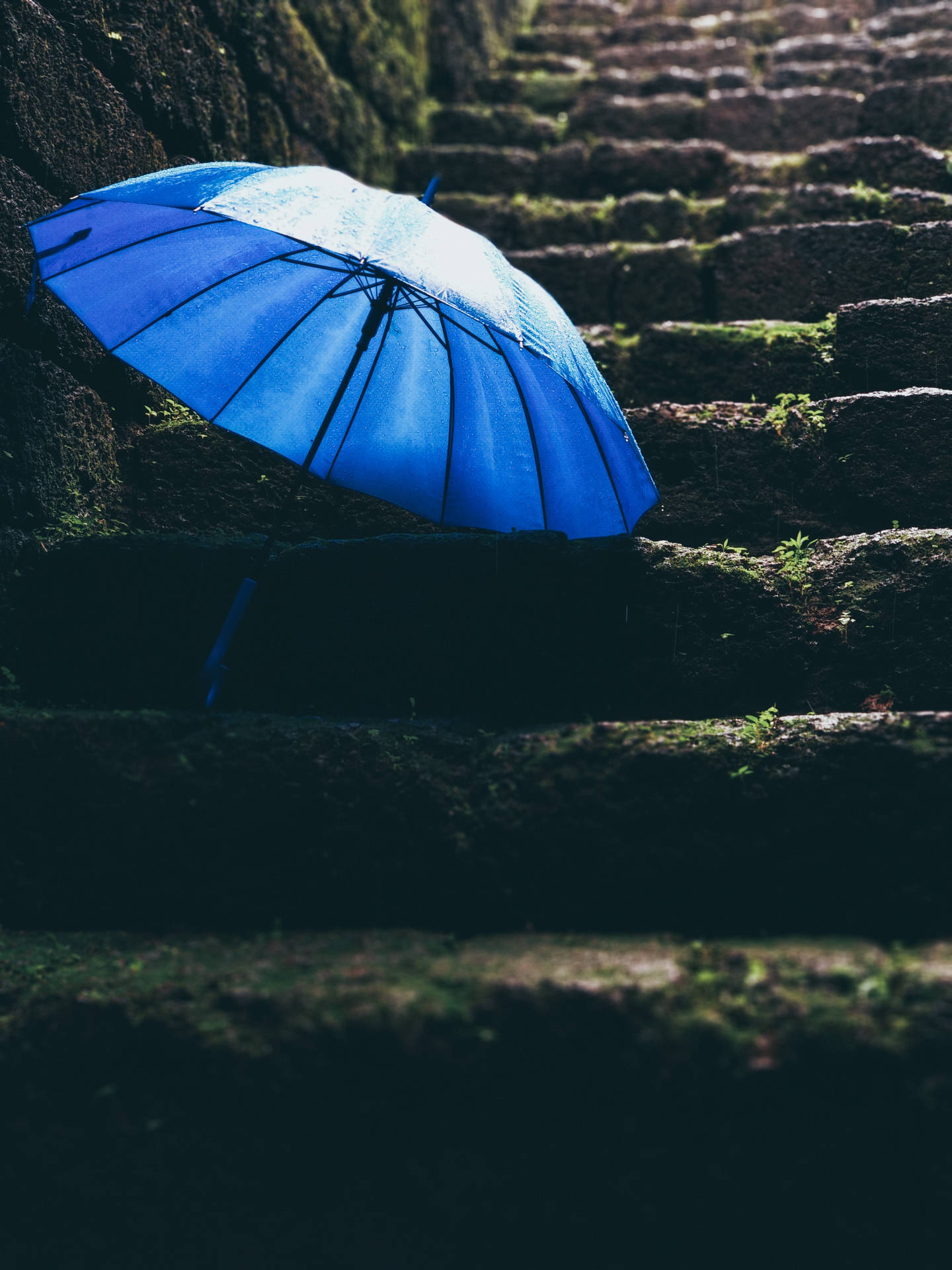 Rain Nature Blue Umbrella Background