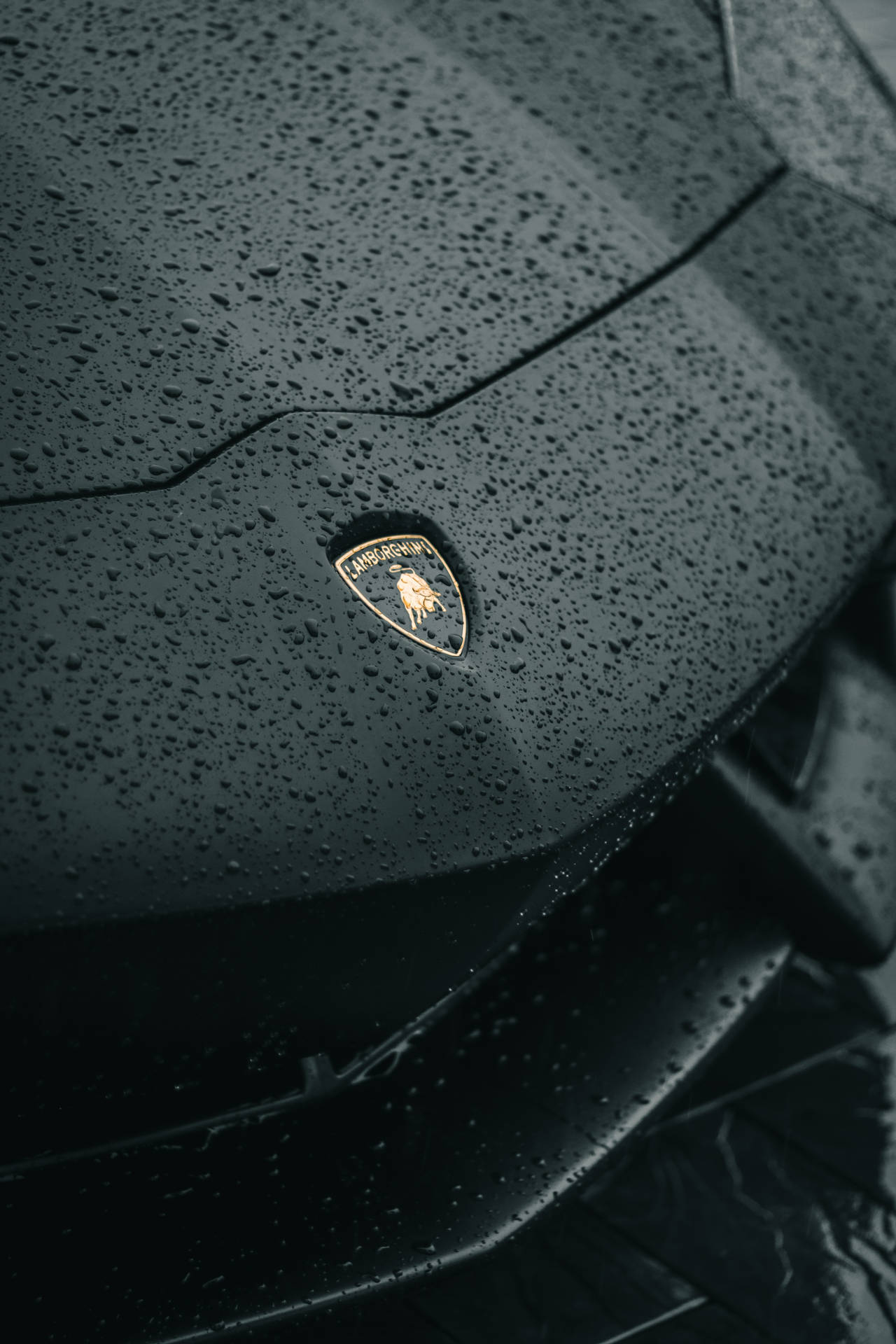 Rain On Hood Lamborghini Galaxy Background